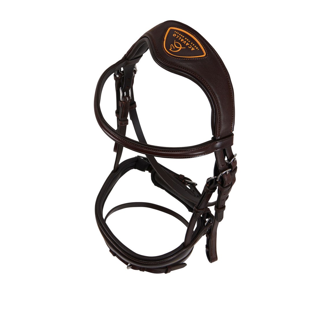Majesty's Leather Bridle