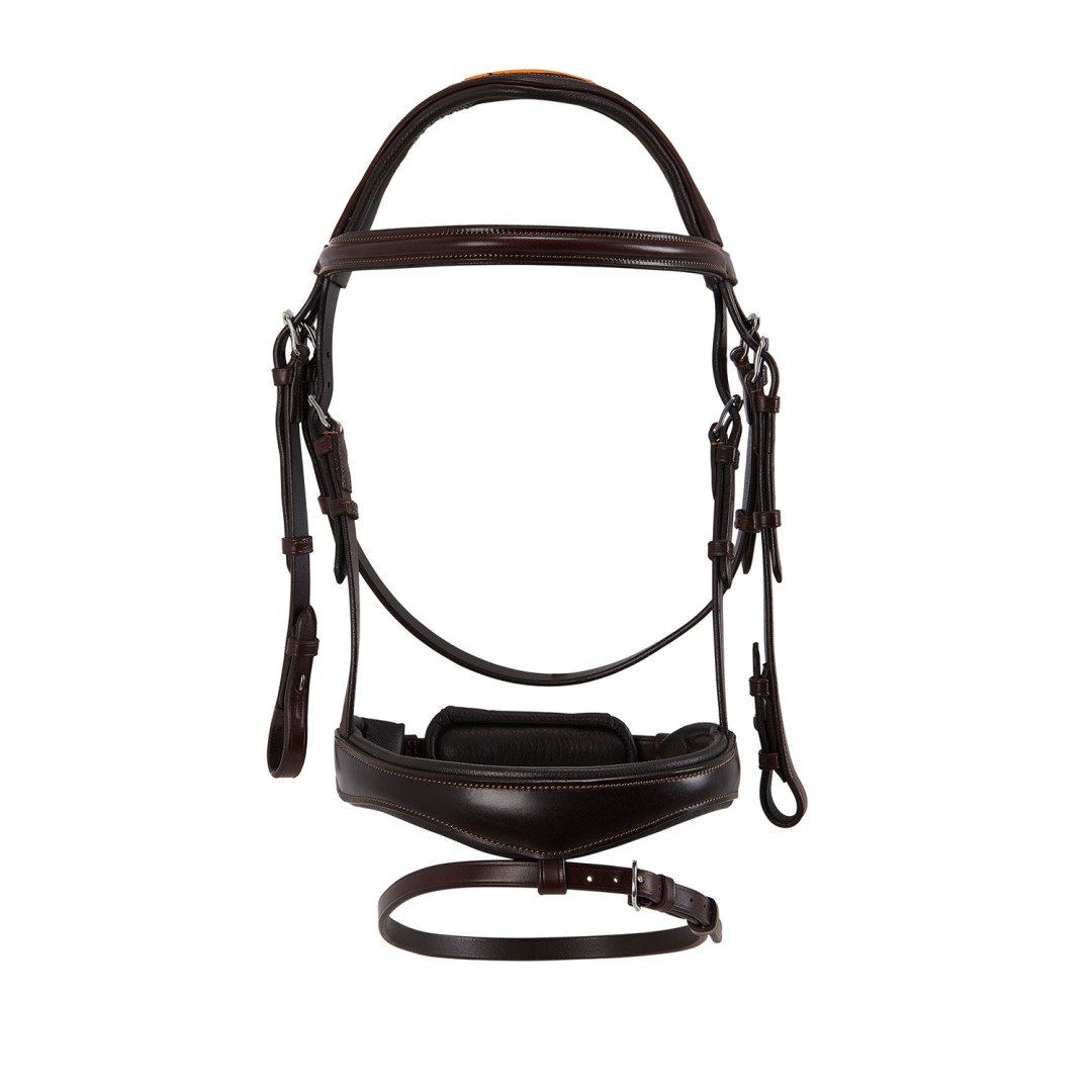 Maesta' Leather Bridle