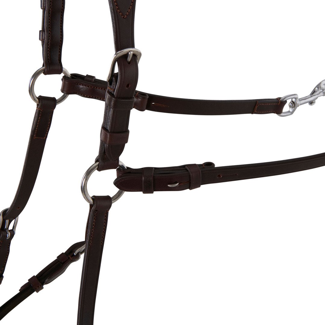 Calfskin Leather 5 Point Attachment Breastplate