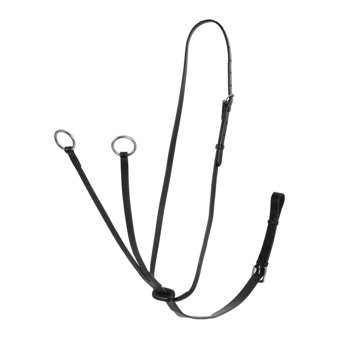 Acavallo Cow Plain martingale
