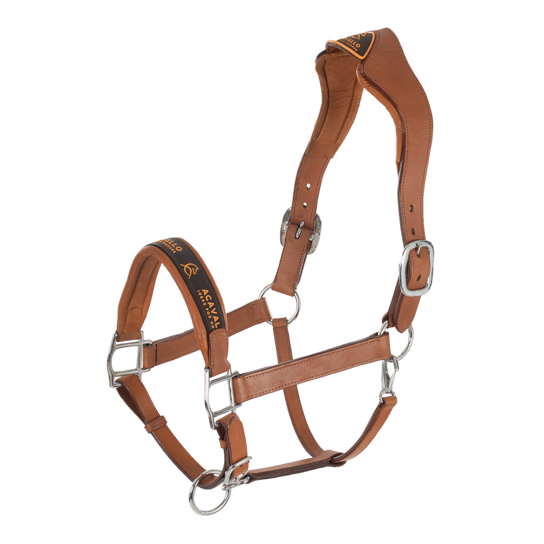 Acavallo Leather Halter With Ergonomic Pollguard - Calfskin Lining Acavallo Leather Halter With Ergonomic Pollguard - Calfskin Lining