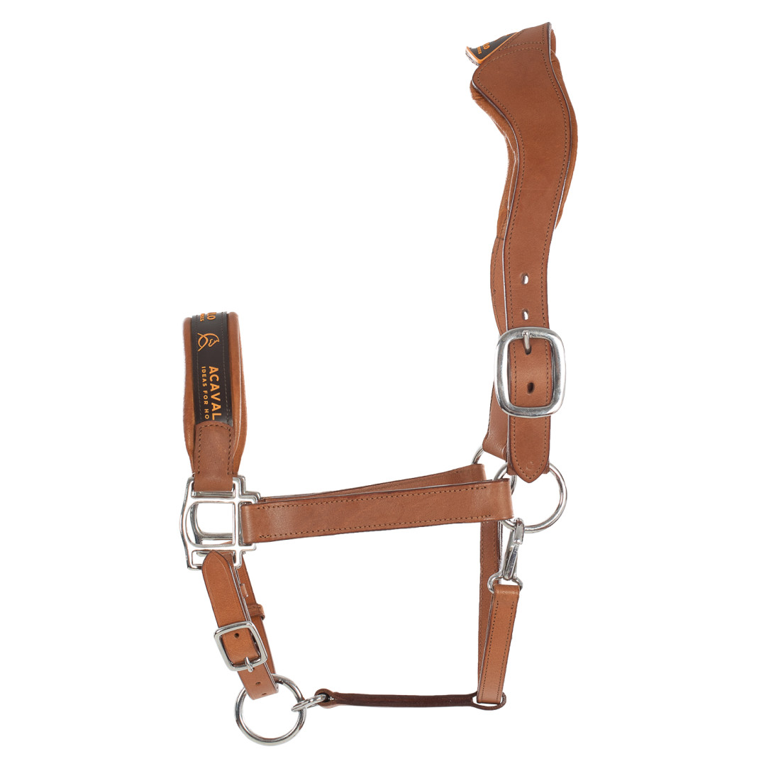 Acavallo Leather Halter With Ergonomic Pollguard - Calfskin Lining Acavallo Leather Halter With Ergonomic Pollguard - Calfskin Lining