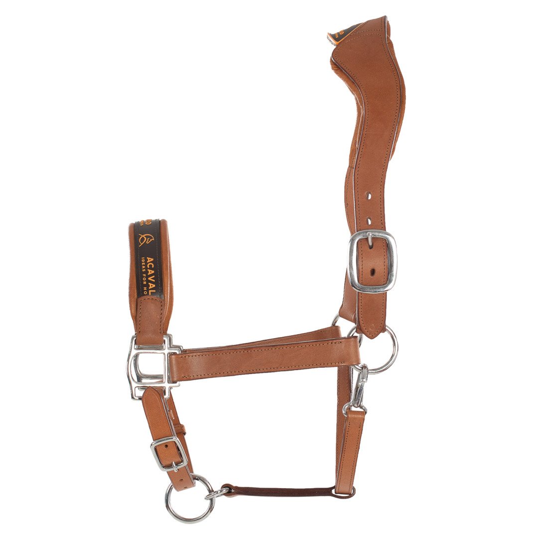 Lederhalfter mit ergonomischem Pollguard und Kalbslederfutter