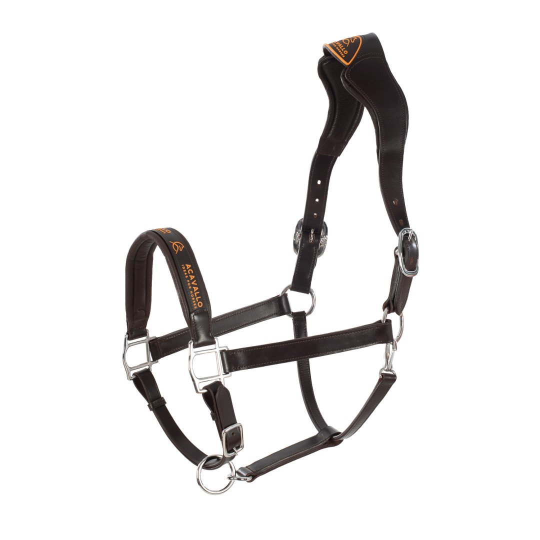 Cabresto de couro com proteção ergonômica para nuca e forro de couro de bezerro.