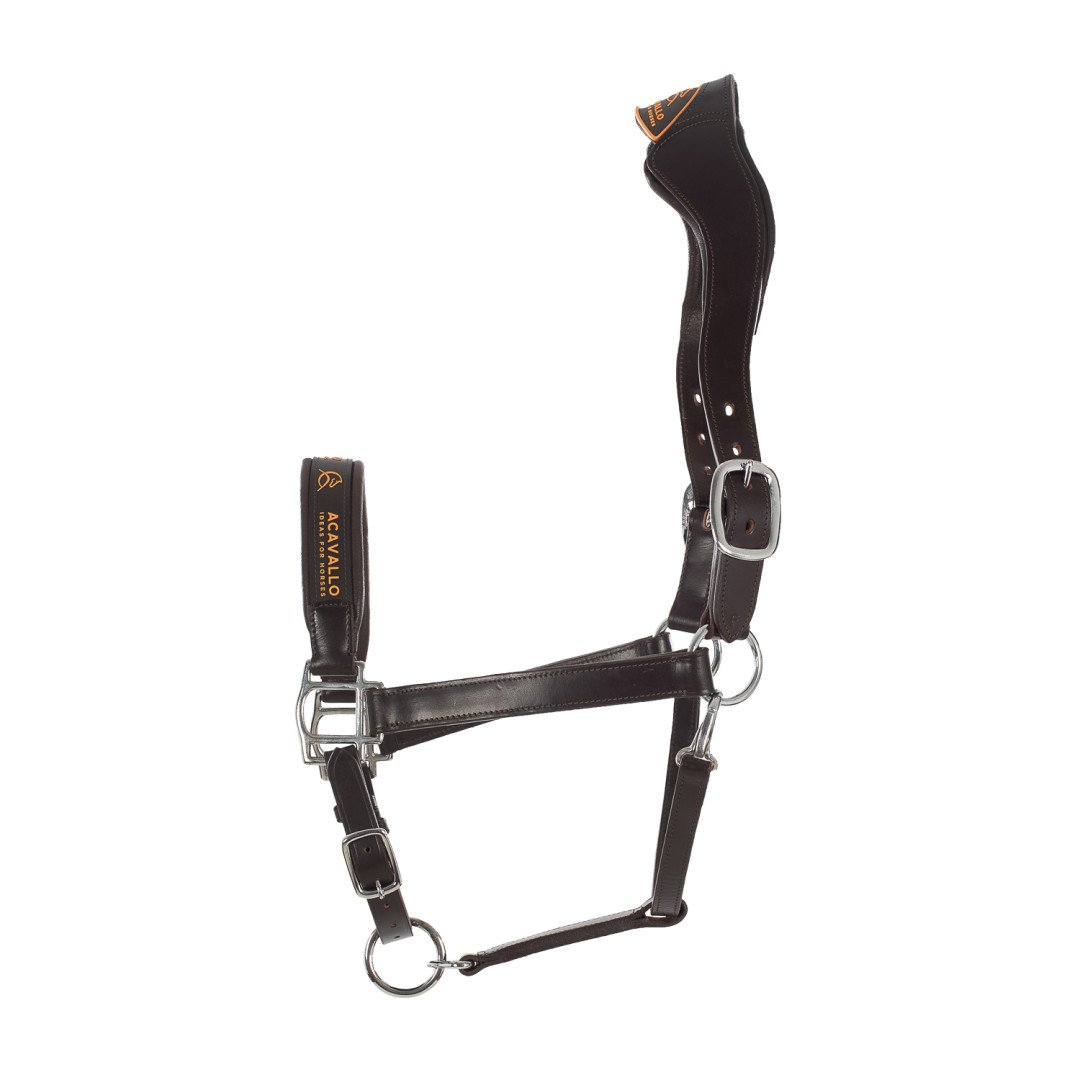 Cabresto de couro com proteção ergonômica para nuca e forro de couro de bezerro.
