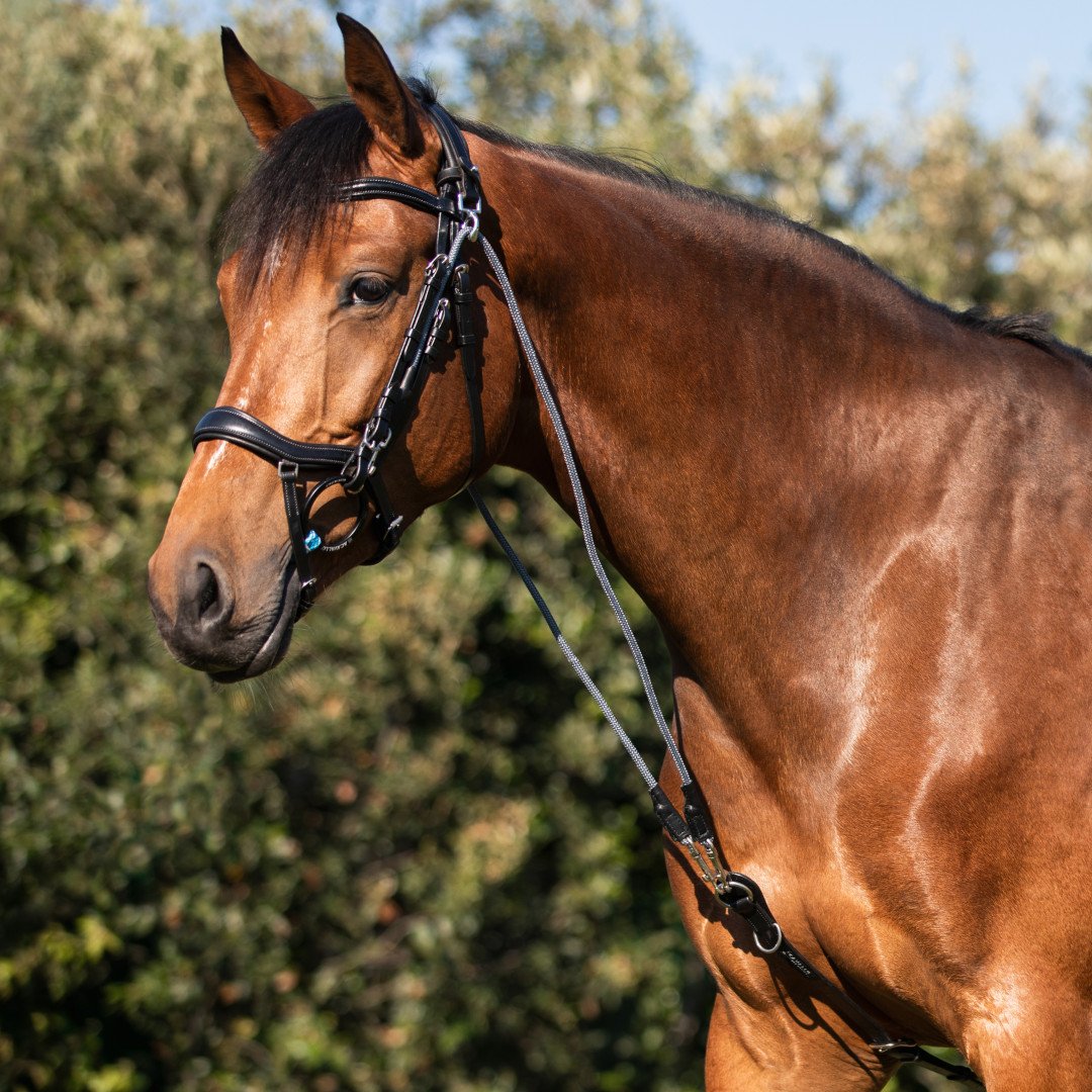 Cuir italien et nylon rond Dori Gogue