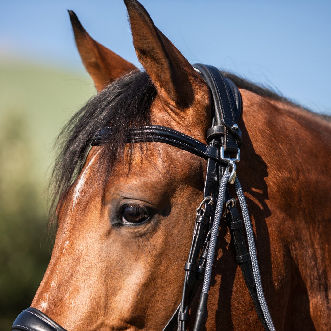 Cuir italien et nylon rond Dori Gogue