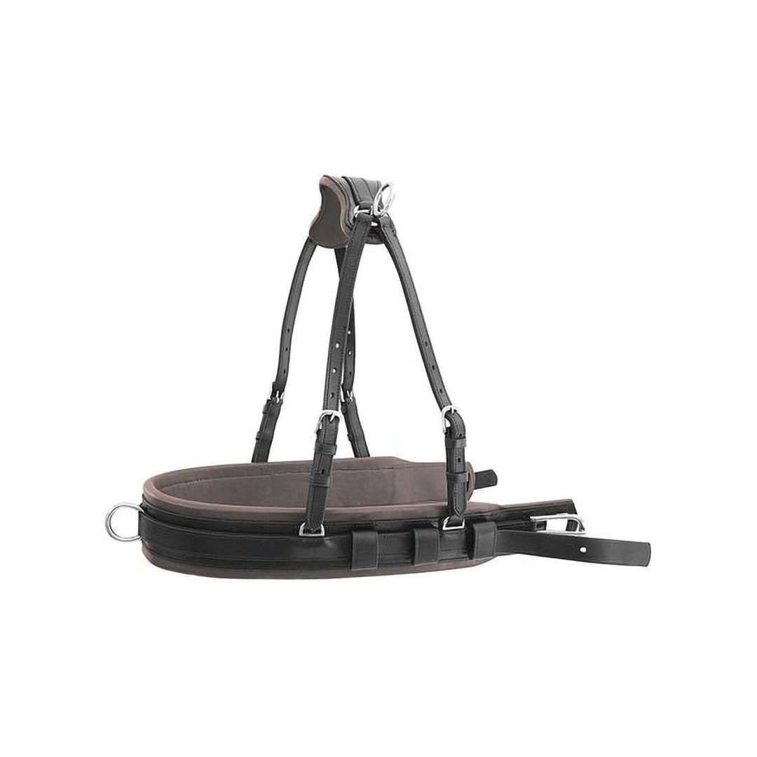 Luxury Model Carriage Trim