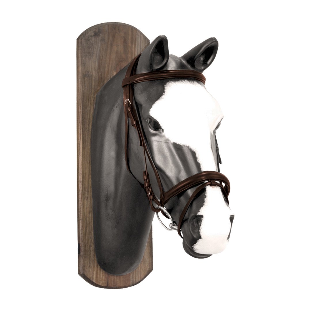 Lienzo Riendas Cabezadas inglesa