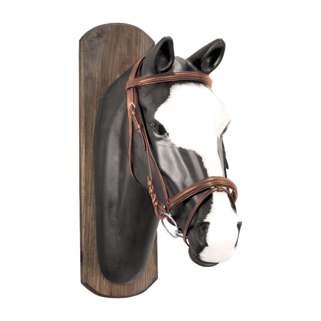 English bridle reins Canvas