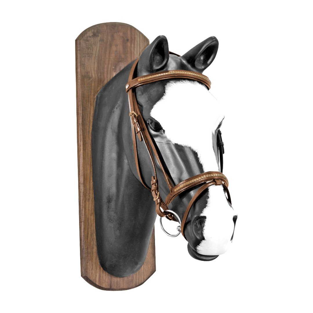 Cabezadas inglesa con Riendas de latón y goma