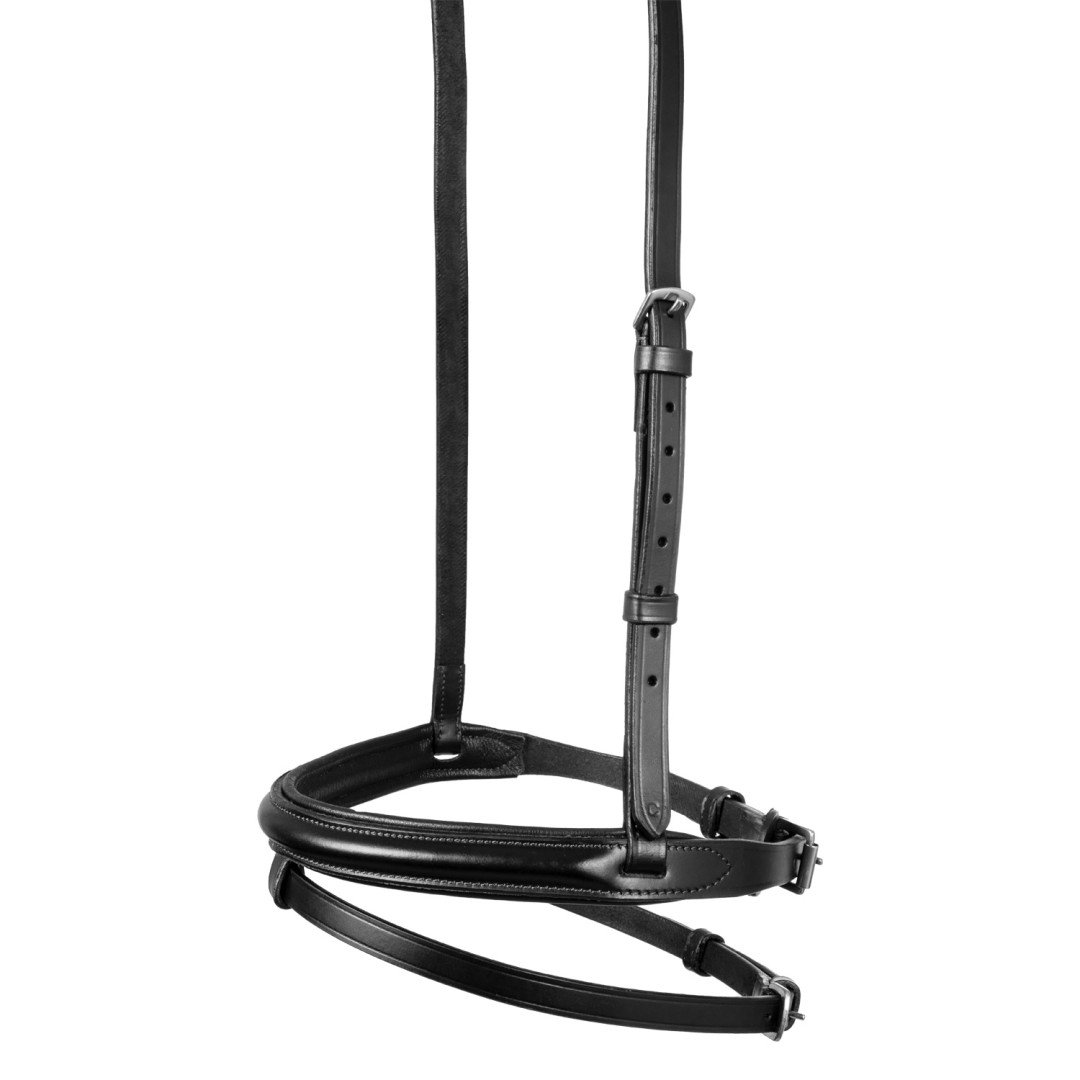 Focinheira com focinheira