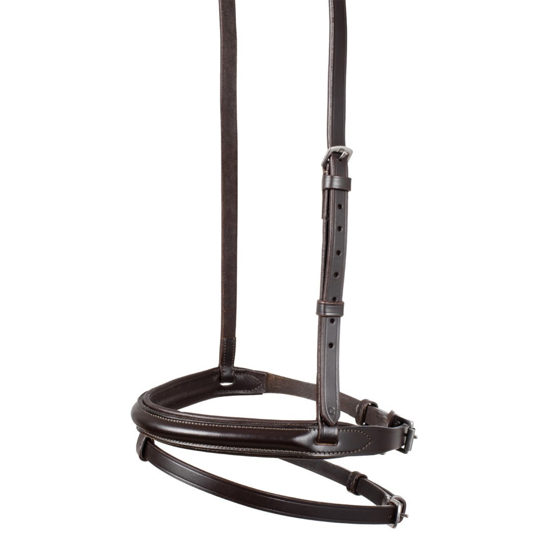 Noseband with Noseband