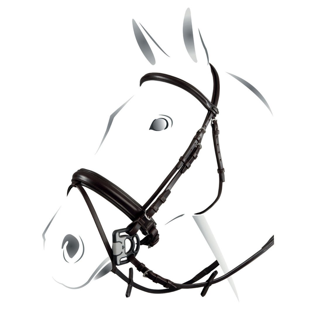 Wide Model Bridle