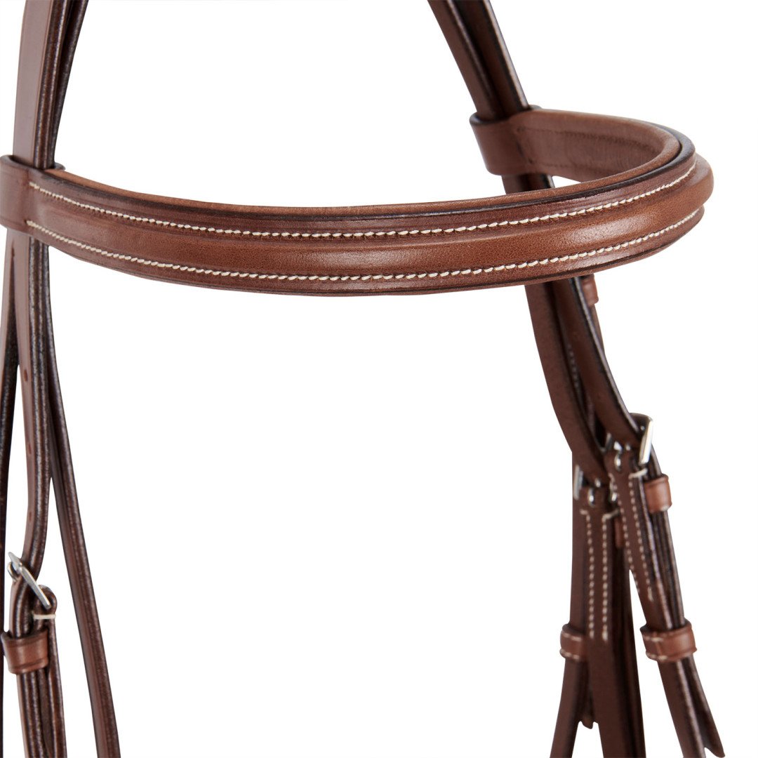 Silver Model Bridle