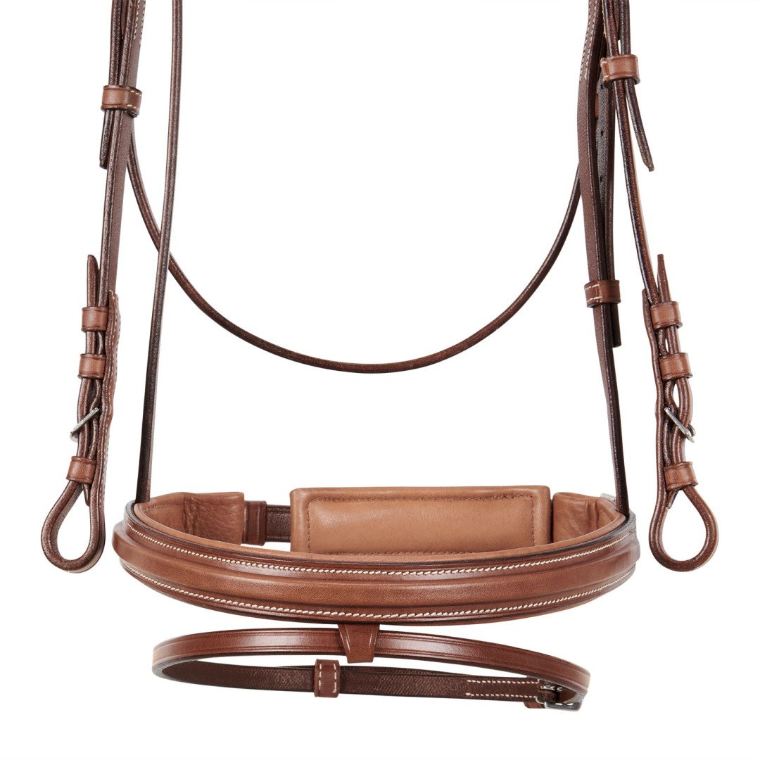 Silver Model Bridle