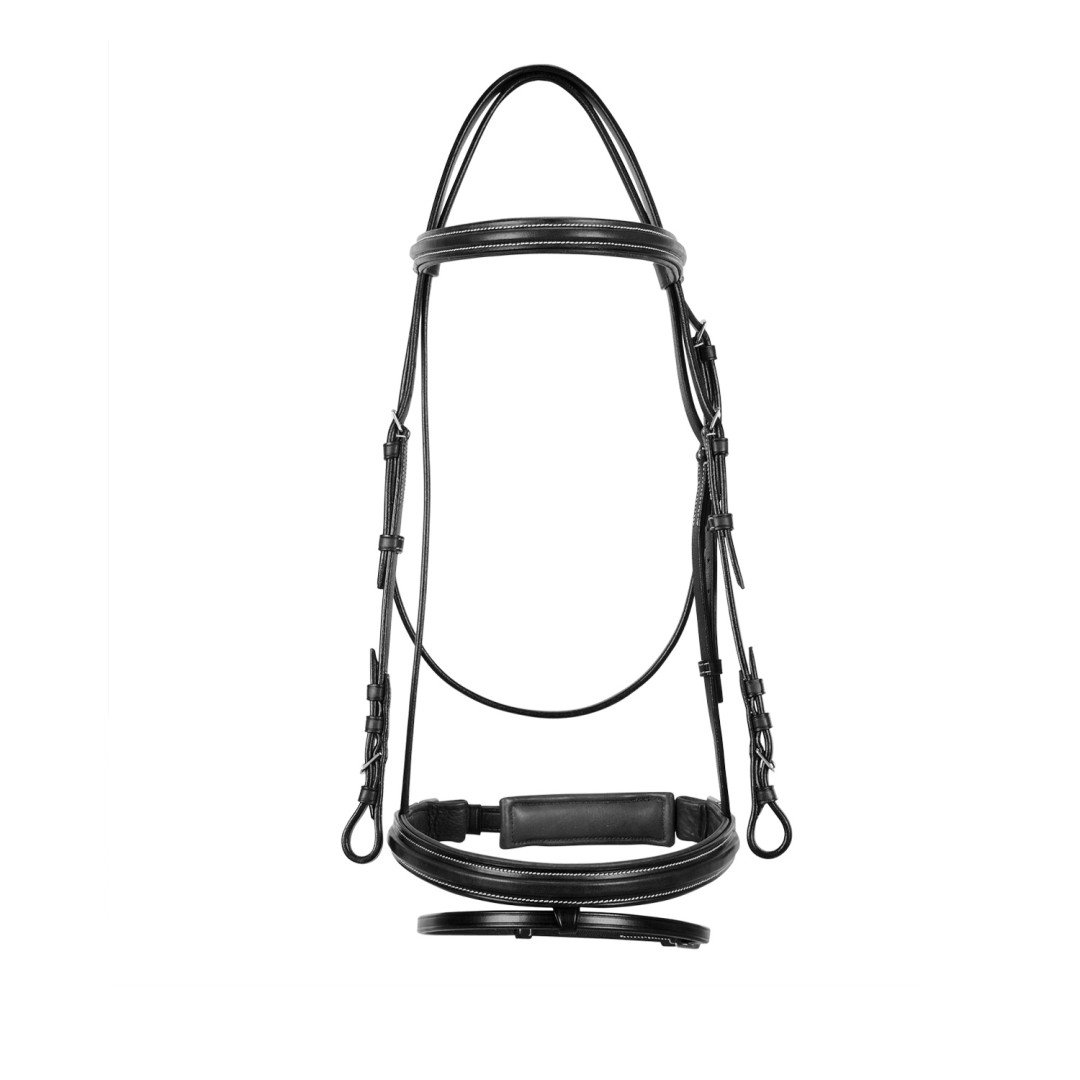 Silver Model Bridle