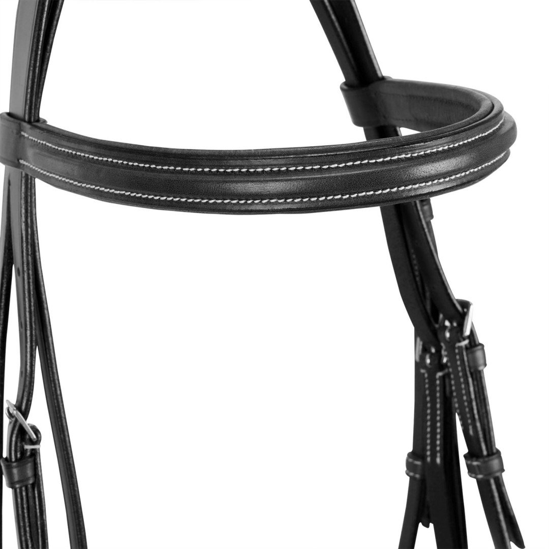 Silver Model Bridle
