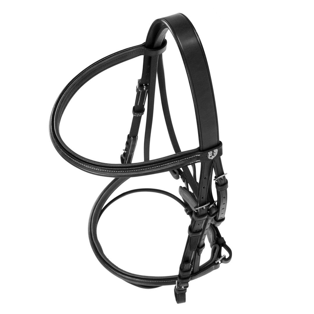 Silver Model Bridle