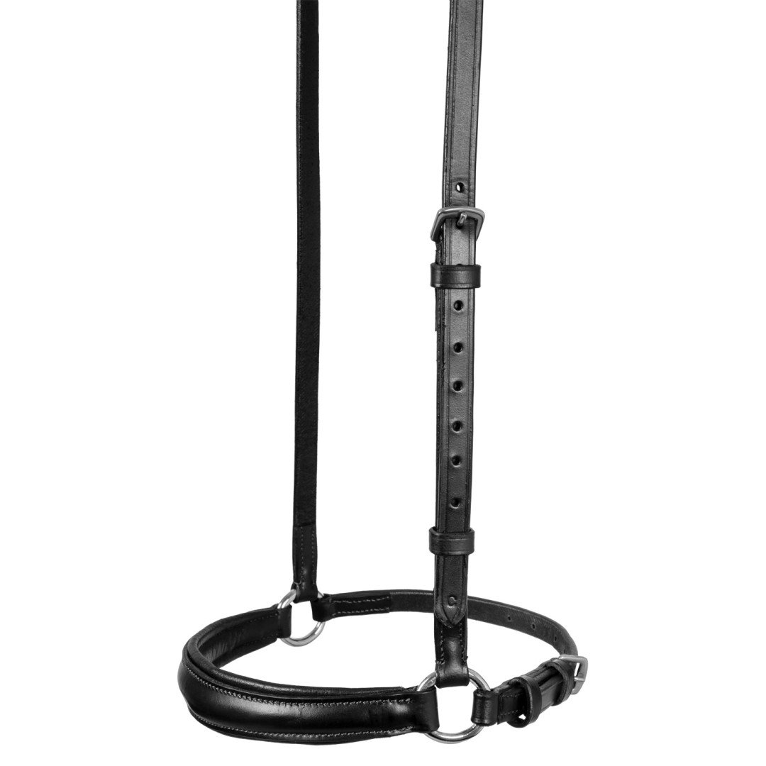 Capezzina Anellini German Style