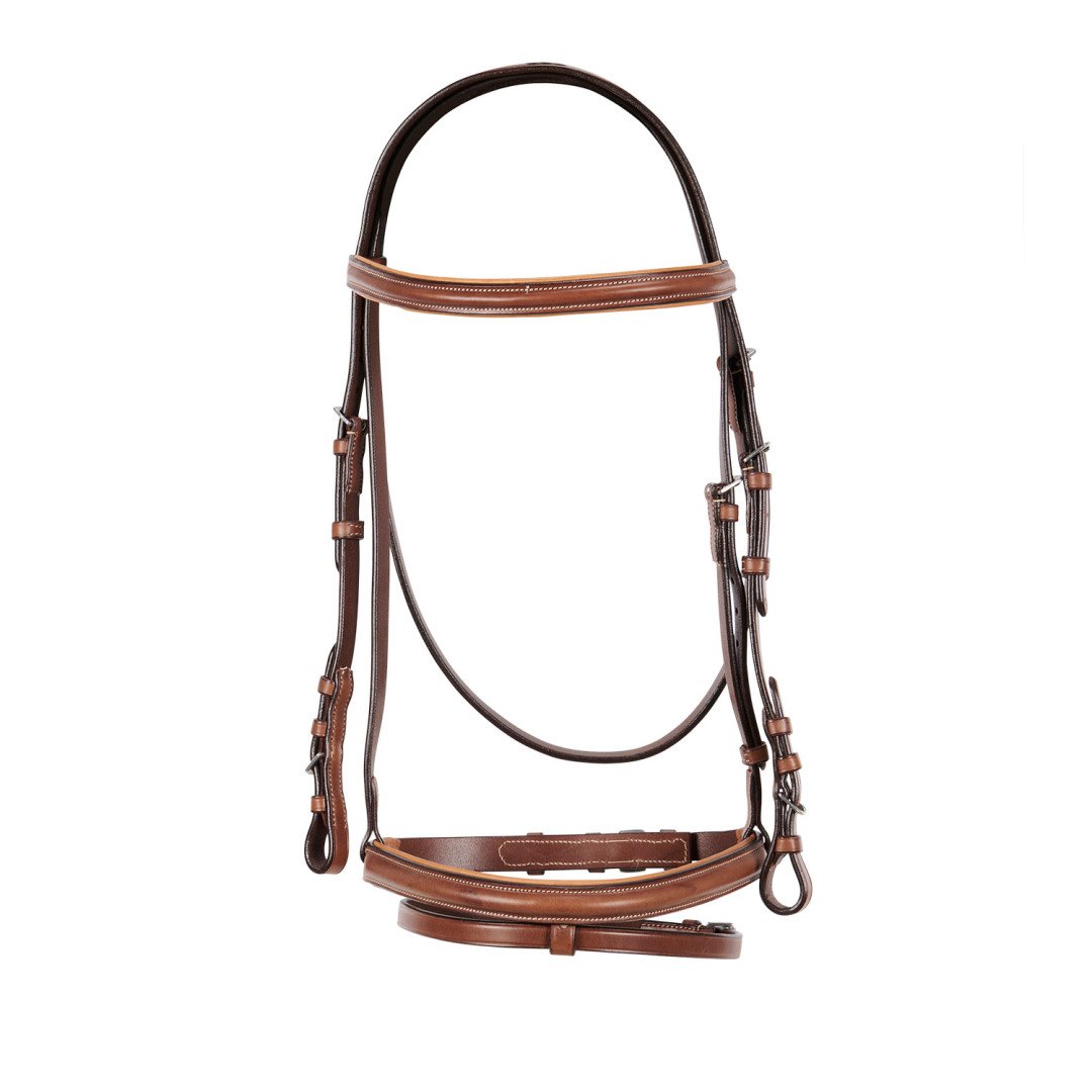 Stitched Model Bridle