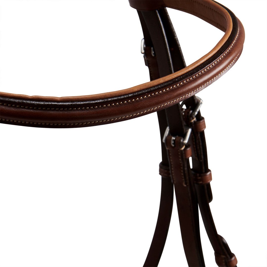 Stitched Model Bridle