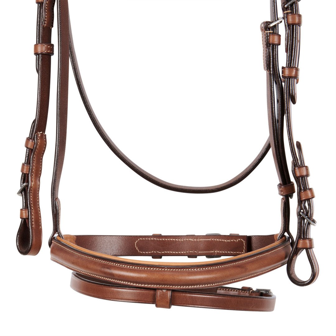 Stitched Model Bridle