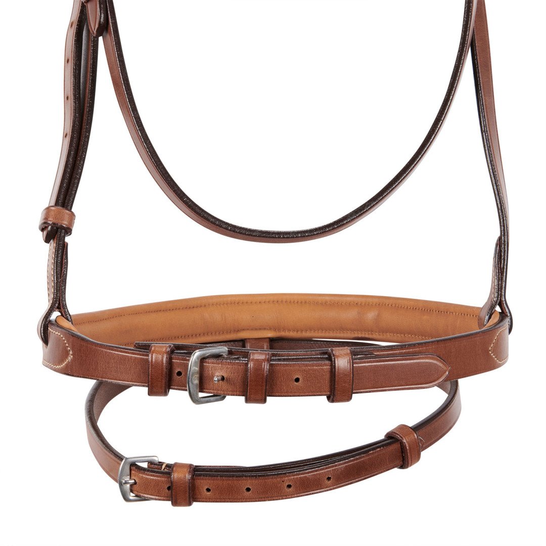Stitched Model Bridle