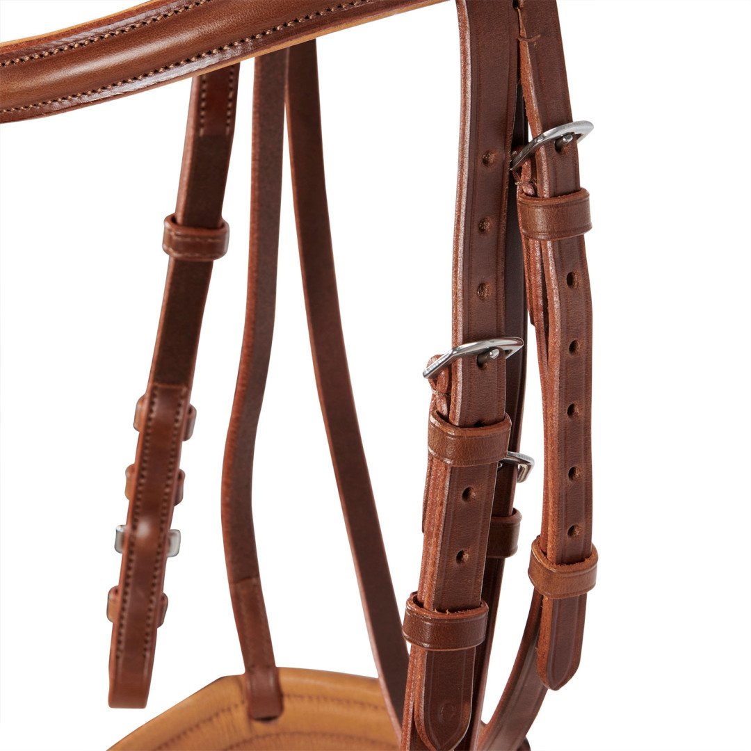 Genesis Model Bridle