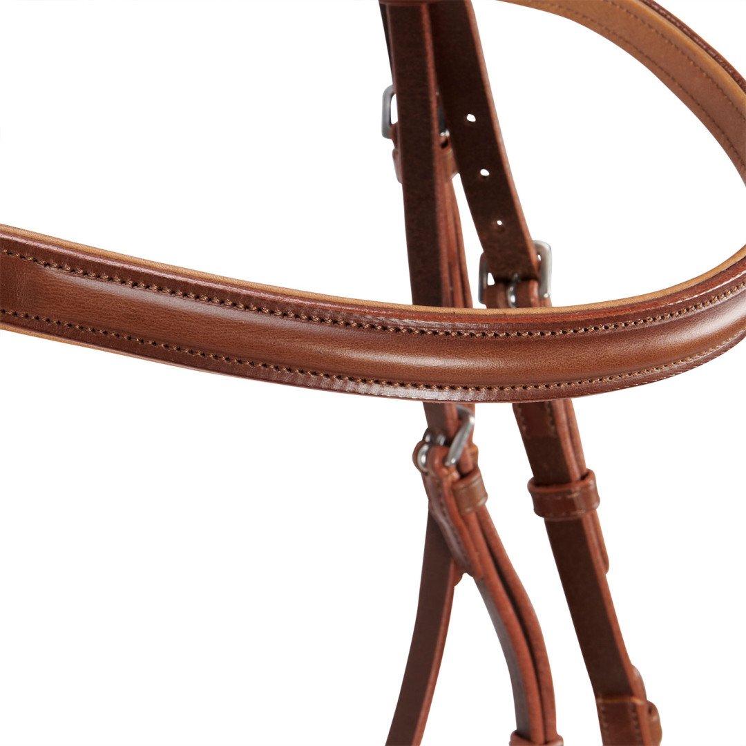 Genesis Model Bridle
