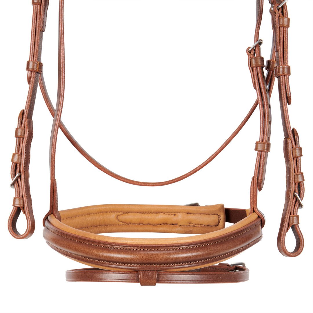 Genesis Model Bridle