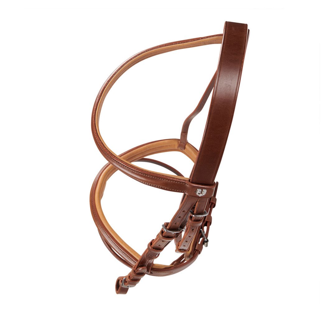 Genesis Model Bridle