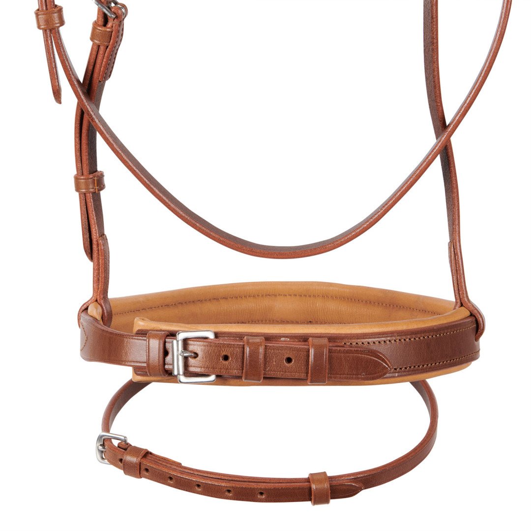 Genesis Model Bridle