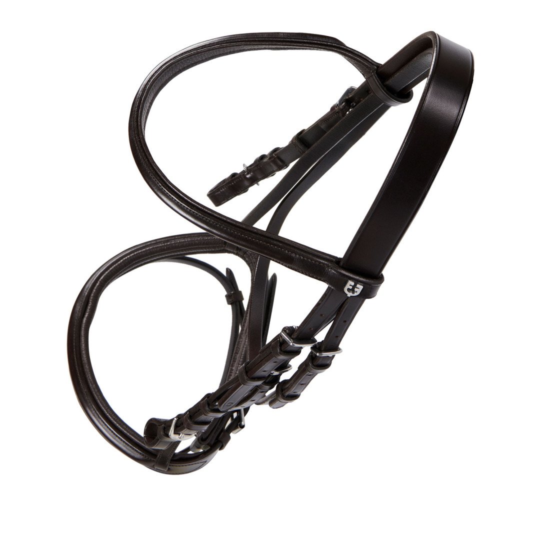 Genesis Model Bridle