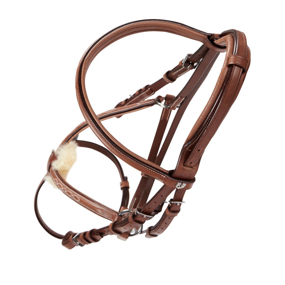 Mexican Model Bridle