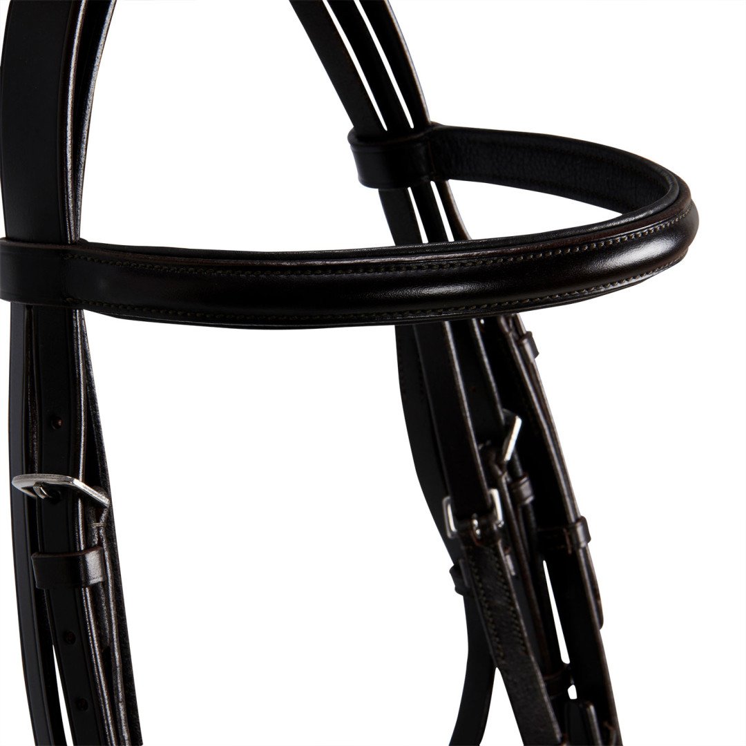 Briglia Modello Dressage