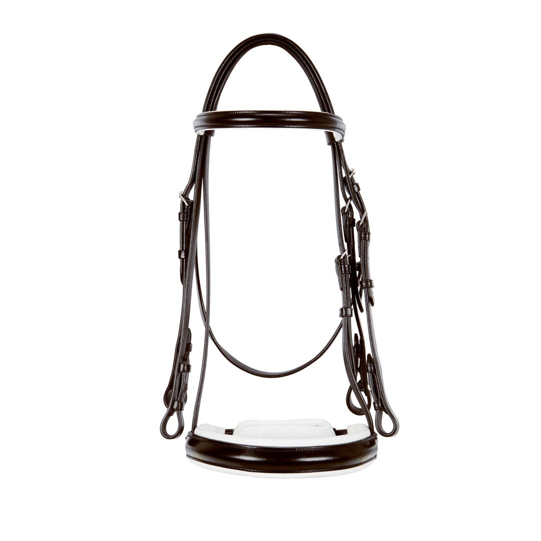 Dressage Model Bridle