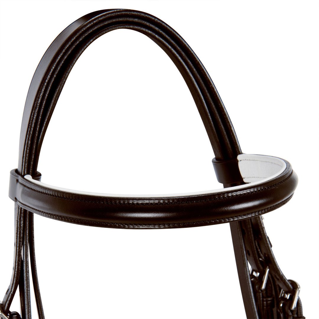 Dressage Model Bridle