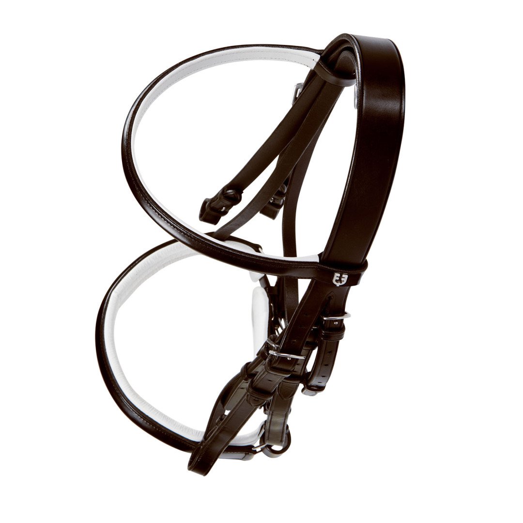 Dressage Model Bridle