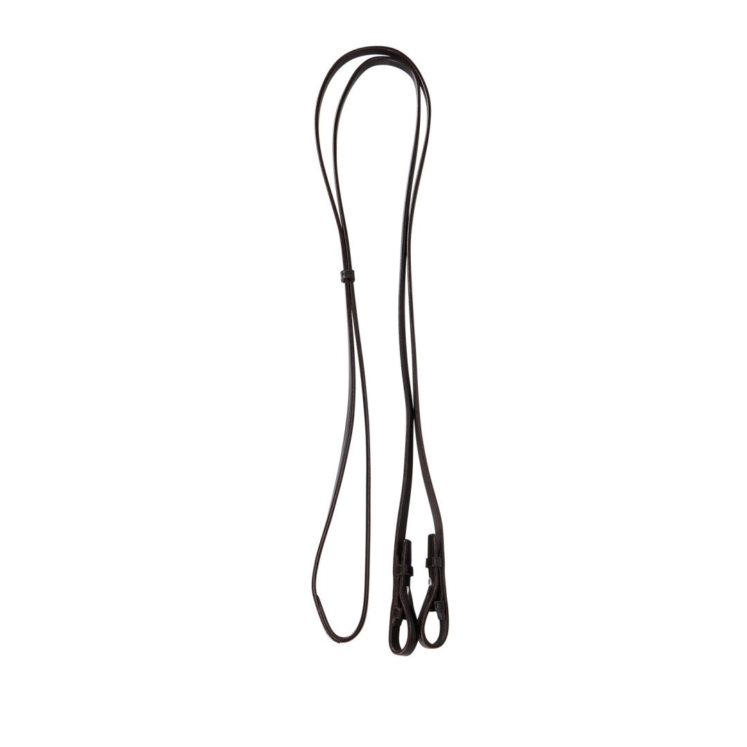 Dressage Model Bridle