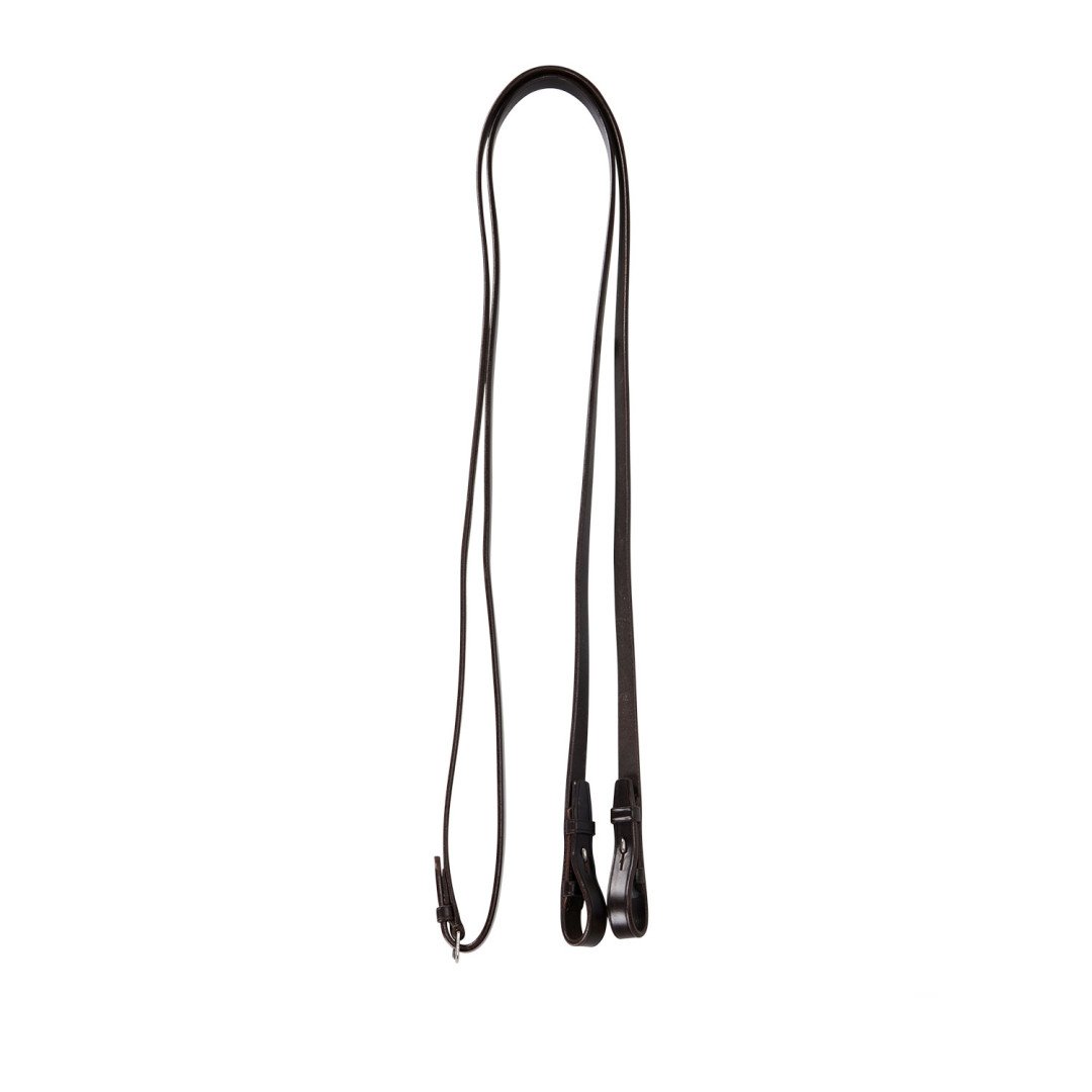 Dressage Model Bridle