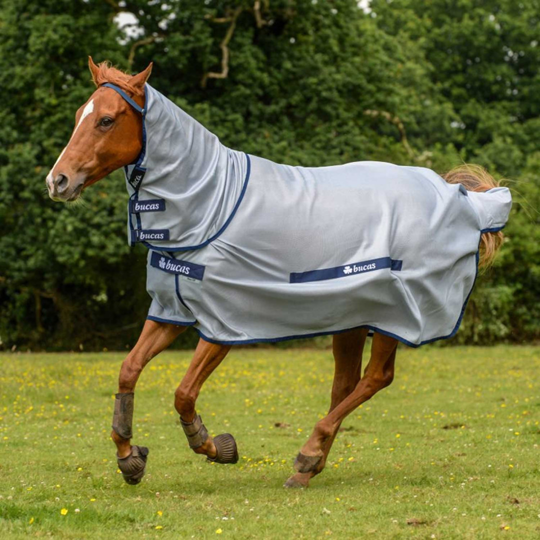 Netzdecke Bucas Buzz Off Range Full Neck Netzdecke Bucas Buzz Off Range Full Neck