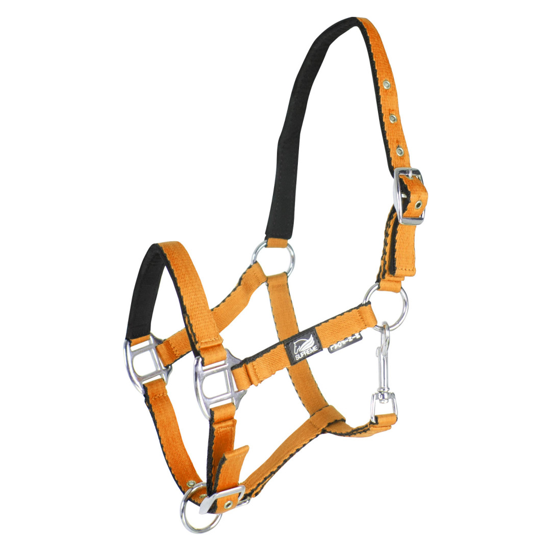 Soft Touch Supreme Padded Foal halter Soft Touch Supreme Padded Foal halter