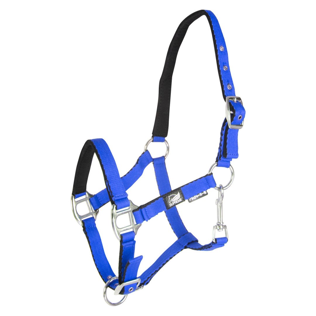 Cavezza Puledro Imbottita Soft Touch Supreme