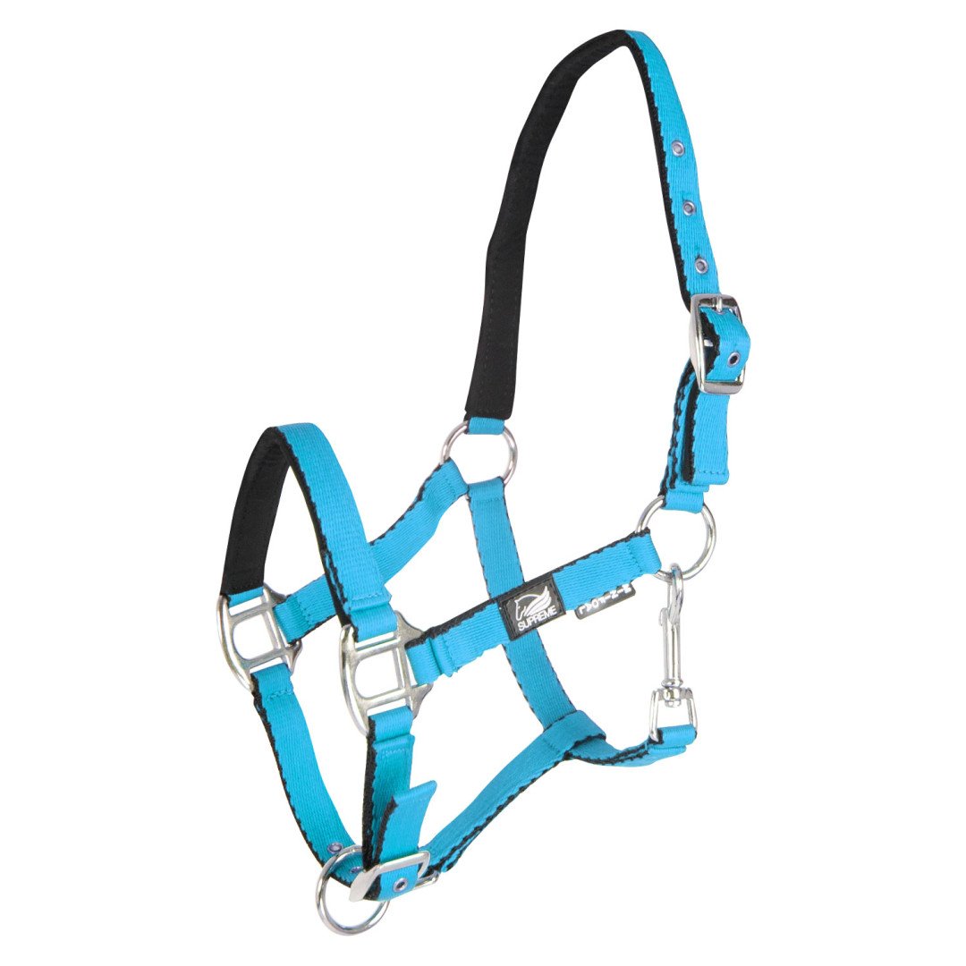 Licol rembourré Soft Touch Supreme pour poulain
