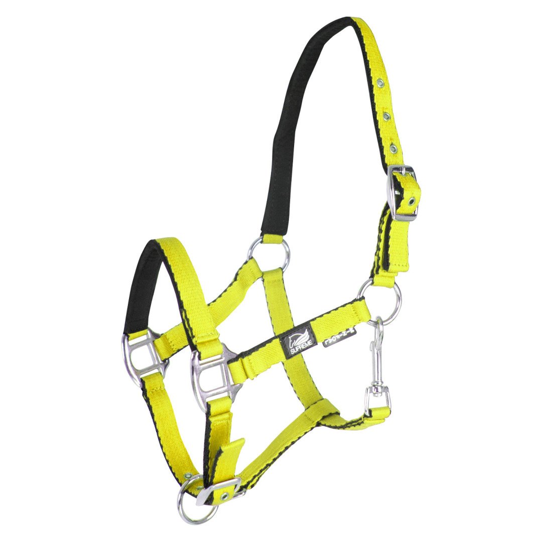 Licol rembourré Soft Touch Supreme pour poulain
