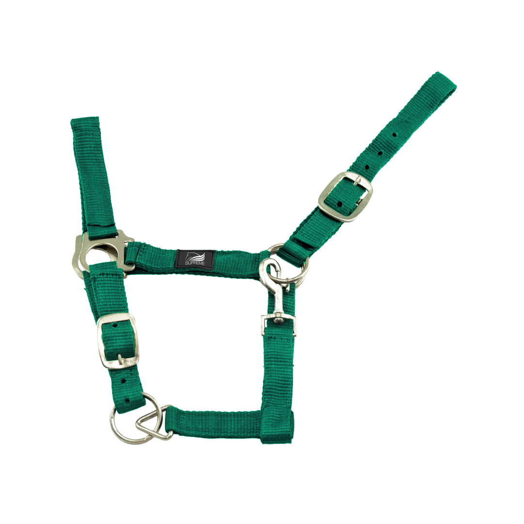 Cavezza Nylon Doppia Regolazione Cavezza Nylon Doppia Regolazione