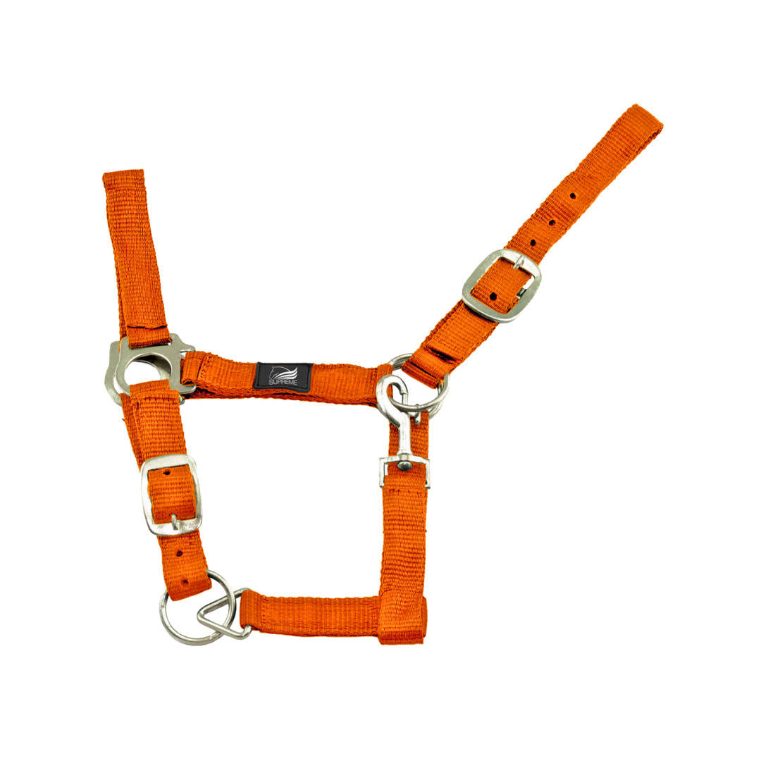 Double Adjustment Nylon halter Double Adjustment Nylon halter