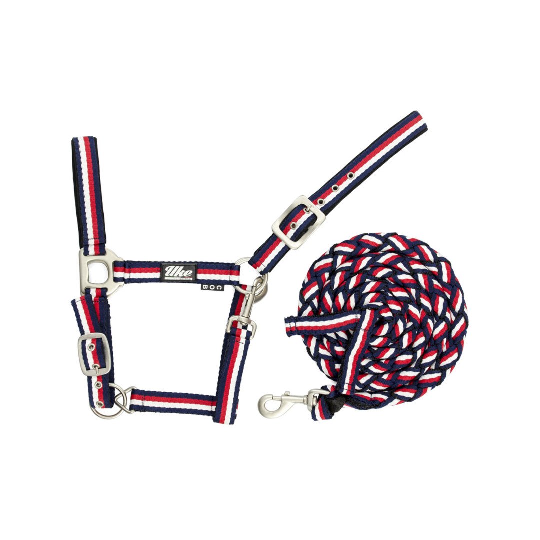 Licol en nylon tricolore