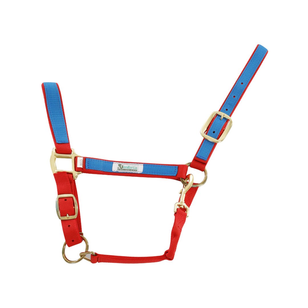 Cavezza Nylon Riporto Colorato